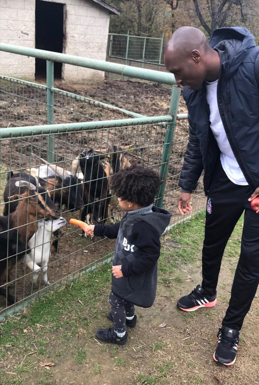 Atiba ve ailesi, doğayla iç içe! - Görsel 2