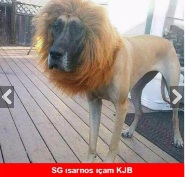 3-0'lık derbi sonrası sosyal medyayı güldüren caps'ler! - Görsel 7