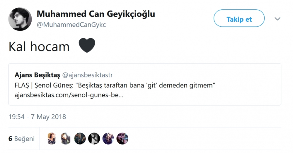 Beşiktaş taraftarı, Şenol Güneş'in "Taraftar bana 'git' demeden gitmem" sözü için ne dedi? - Görsel 4