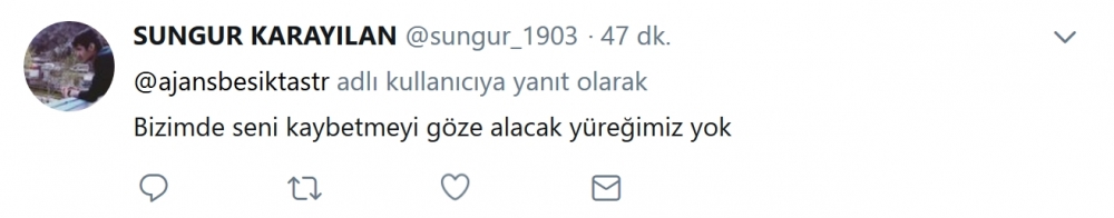 Beşiktaş taraftarı, Şenol Güneş'in "Taraftar bana 'git' demeden gitmem" sözü için ne dedi? - Görsel 6