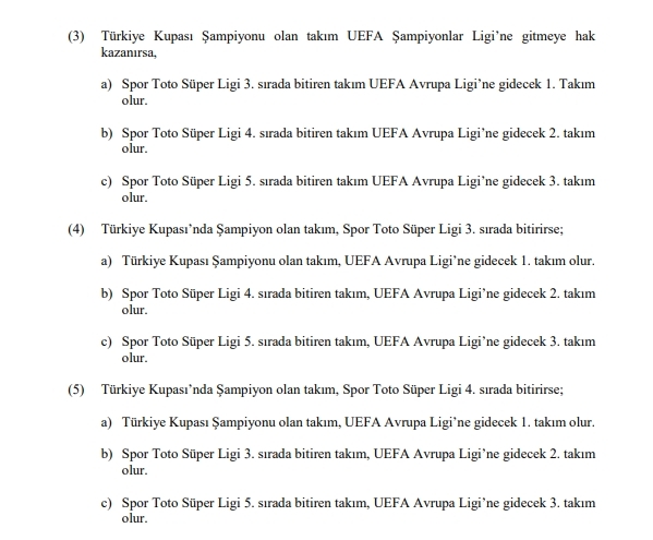 2018 – 2019 SPOR TOTO SÜPER LİG LEFTER KÜÇÜKANDONYADİS SEZONU  MÜSABAKALARI STATÜSÜ - Görsel 19
