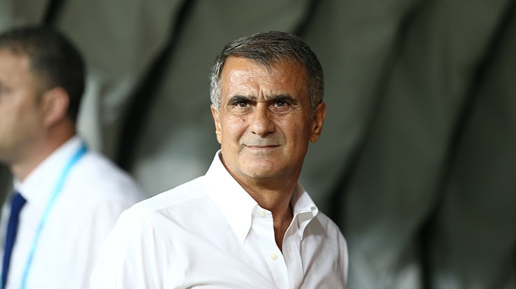 Şenol Güneş: "Onları gönderin" - Görsel 3