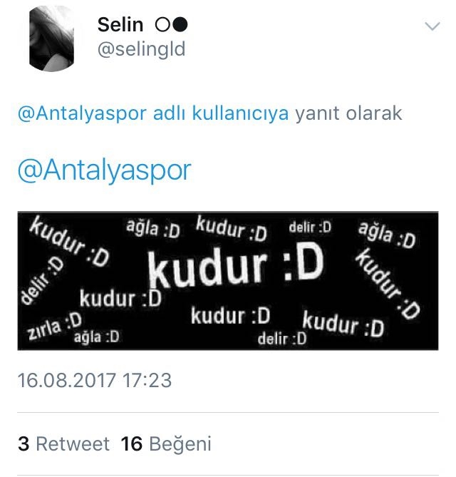 Beşiktaş taraftarından Antalyaspor'a esprili cevaplar - Görsel 2