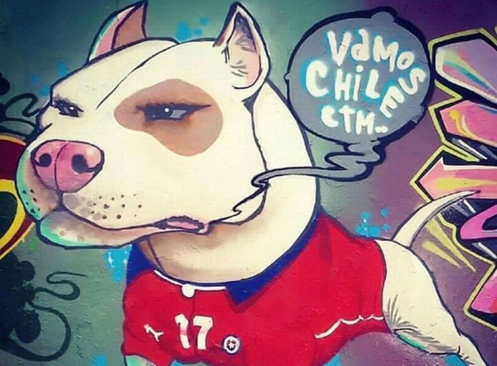 Medel'in, Şili'de bir kahraman olduğunu gösteren 83 kare! - Görsel 23