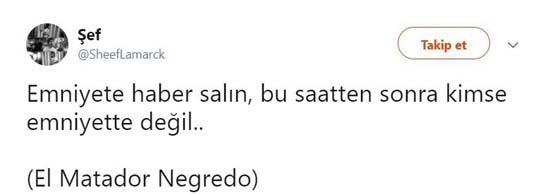 Sosyal medyada "La casa de Babel" çılgınlığı - Görsel 6